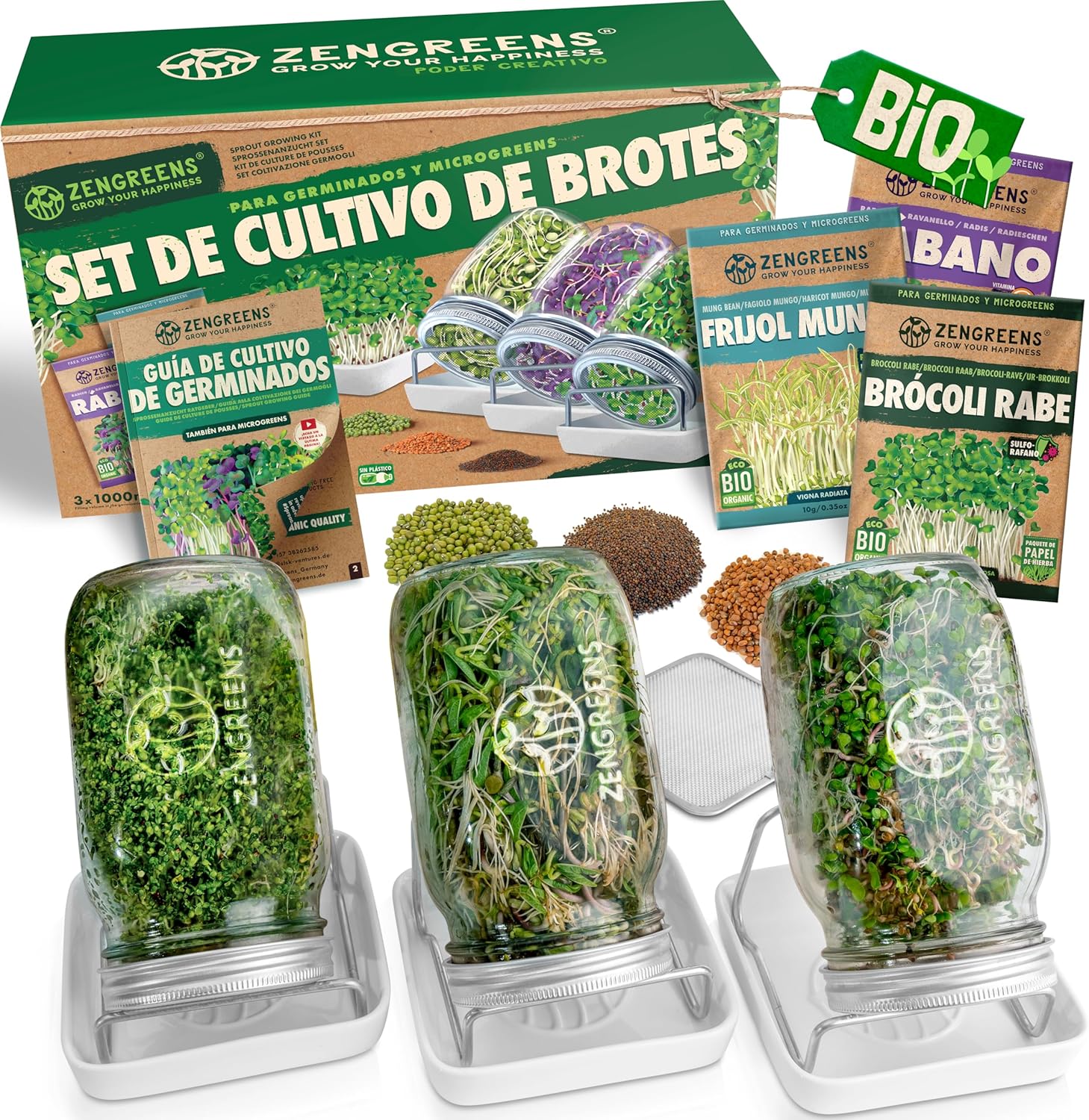 Kit hidropónico completo para principiantes con todo lo necesario