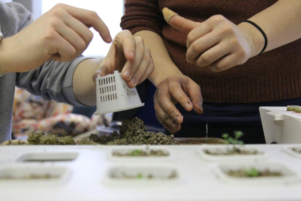 Niños observando plantas creciendo en sistema hidropónico en casa