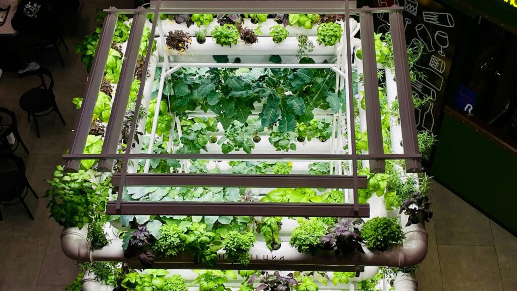 Sistema hidropónico de interior con estructura de luz sobre plantas y hortalizas