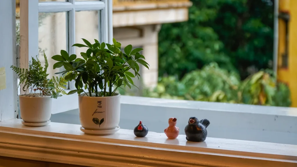 Foto de ambiente para guía de hidroponía