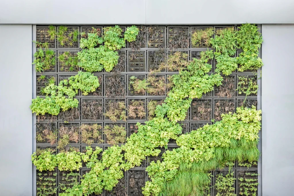 Foto de ambiente para guía de hidroponía