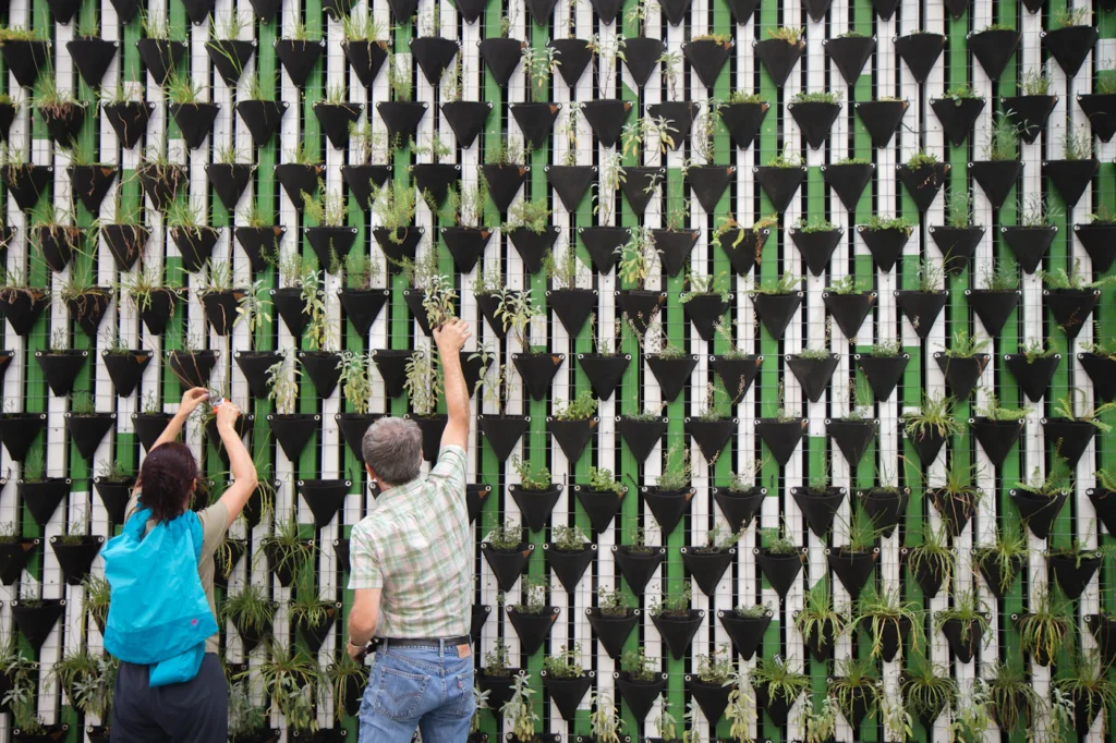 Foto de ambiente para guía de hidroponía