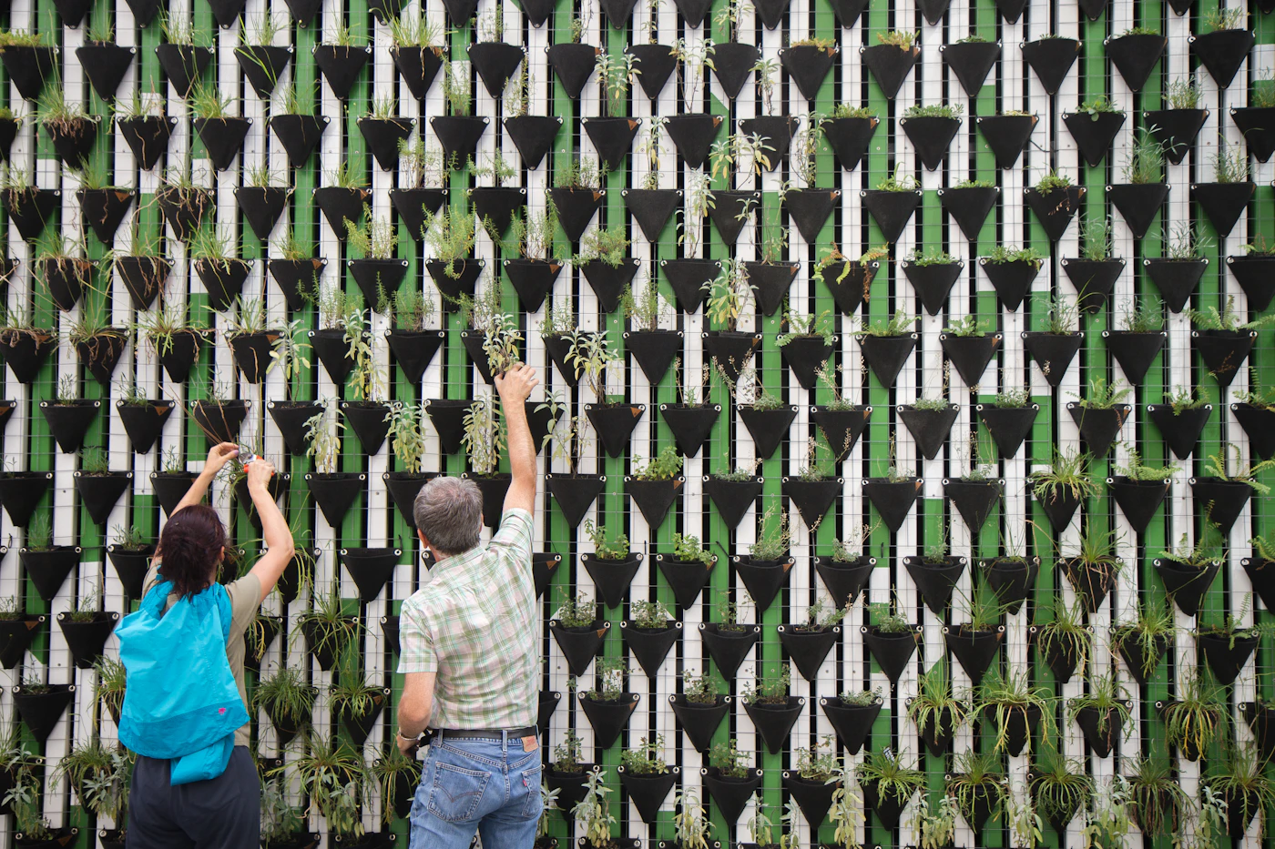 Plantas verdes ascendiendo por una estructura vertical de cultivo