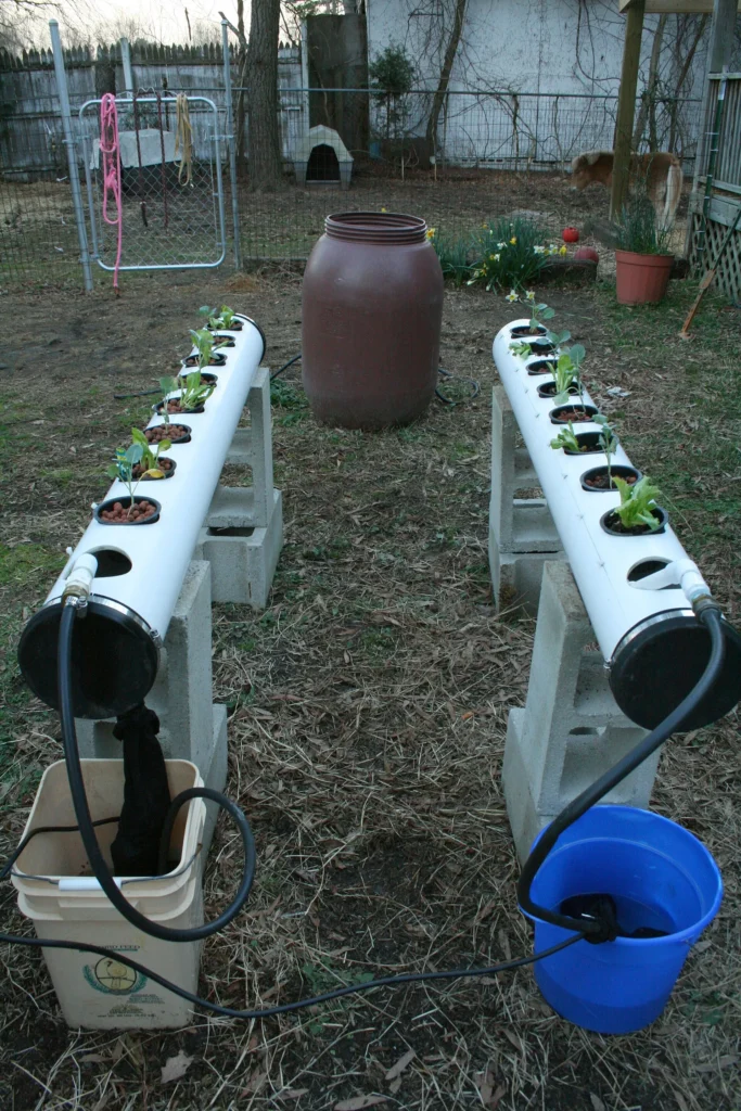 Tubos de cultivo NFT con plantas en cestas