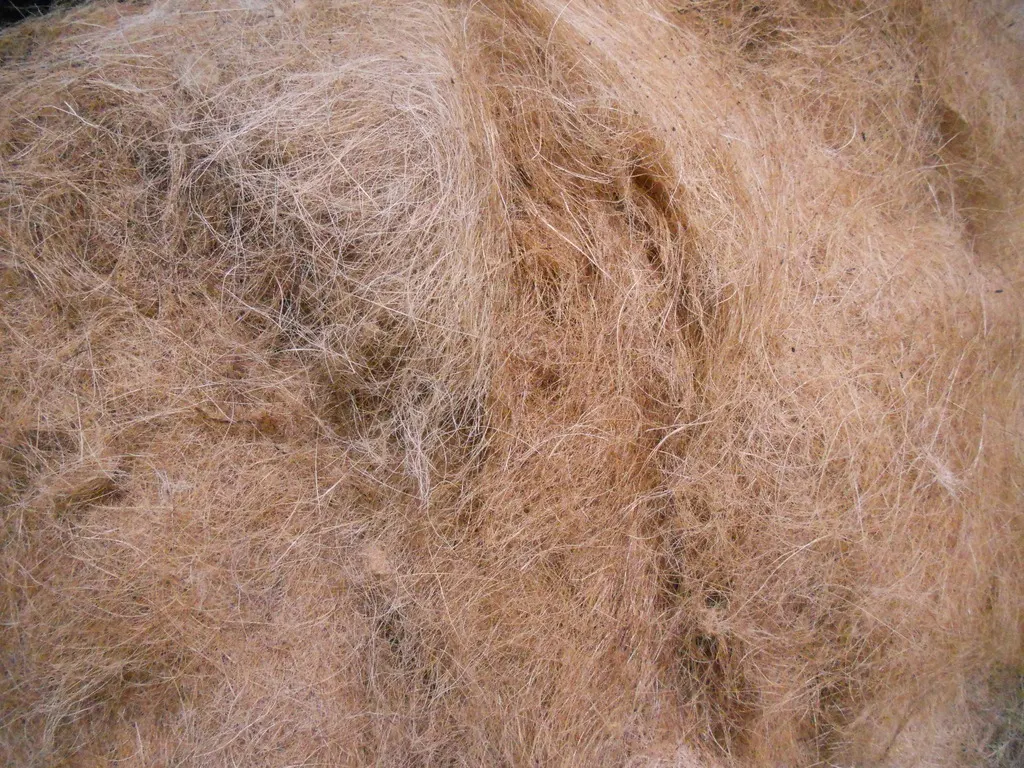 Fibra de coco, sustrato natural (imagen ilustrativa)