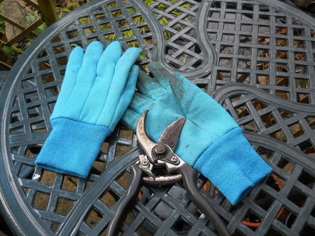 Guantes de jardinería y tijeras de podar
