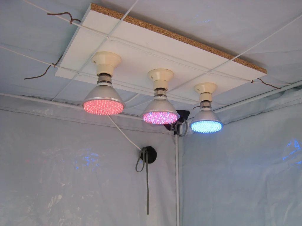 Bombillas de cultivo LED instaladas en portalámparas