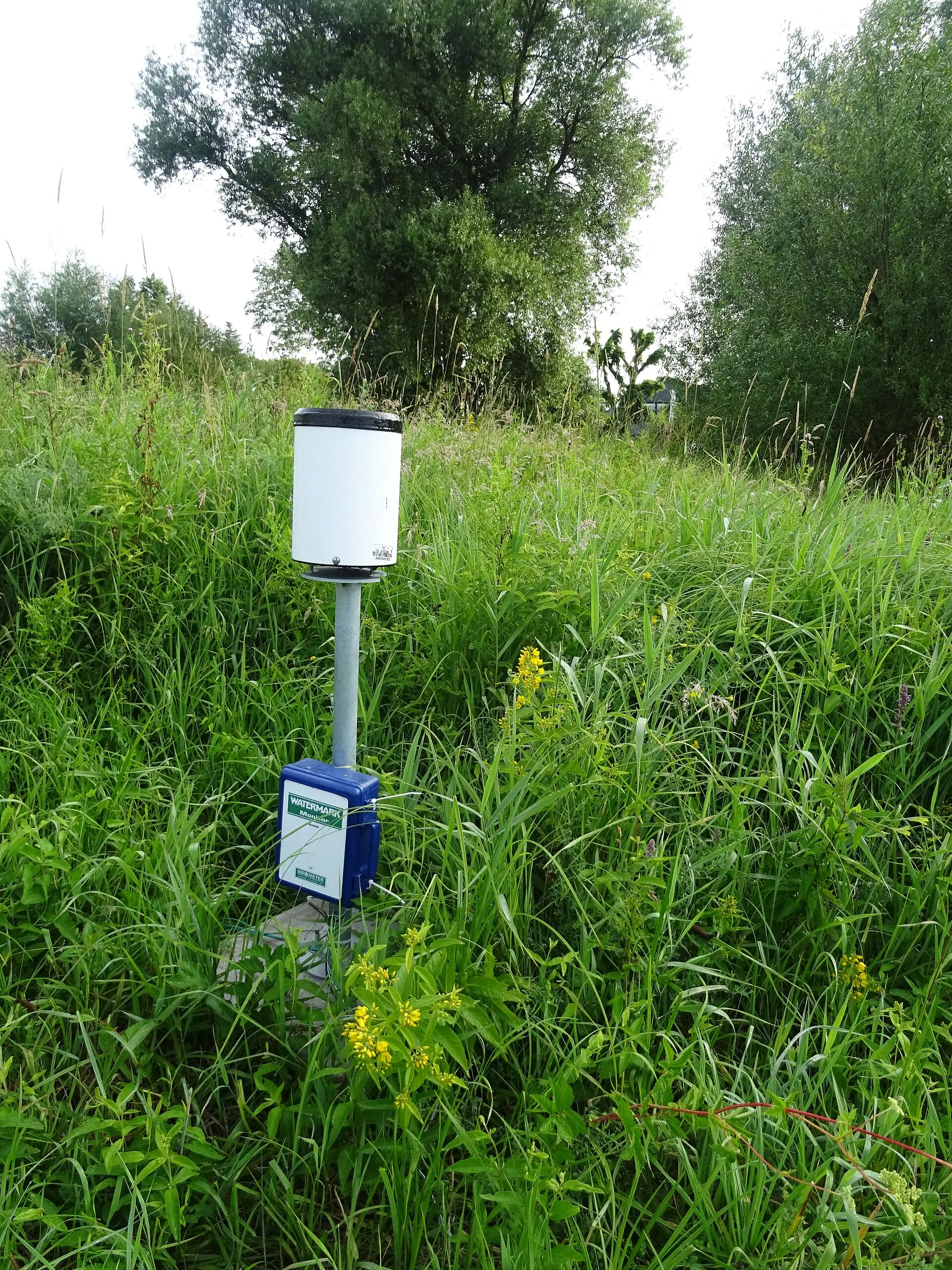 Sensor de humedad del suelo instalado en una zona verde (imagen ilustrativa)