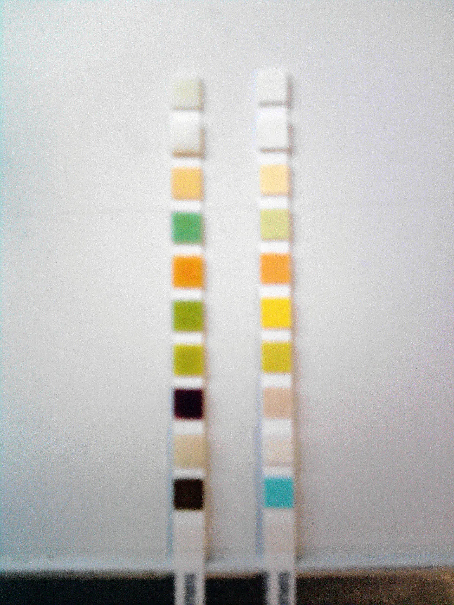 Tiras de test de pH con zonas de color (imagen ilustrativa)